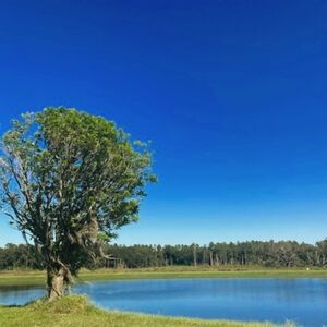 Meet your Posher, Vero